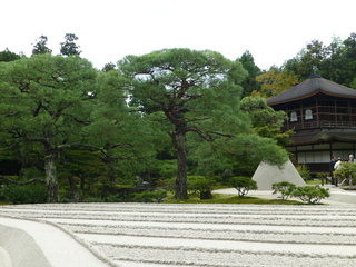 P1050872.JPG